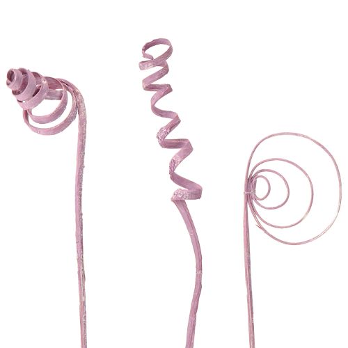 Cukranendrių spiralė Cukranendrių kūgis Cukranendrių asorti uogų spalvos 30 cm 75 vnt.