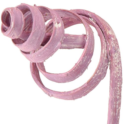 daiktų Cukranendrių spiralė Cukranendrių kūgis Cukranendrių asorti uogų spalvos 30 cm 75 vnt.