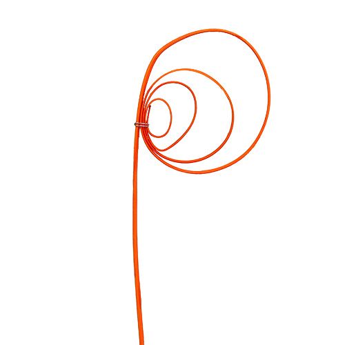 Floristik24 Cane Coil oranžinė 25 vnt.