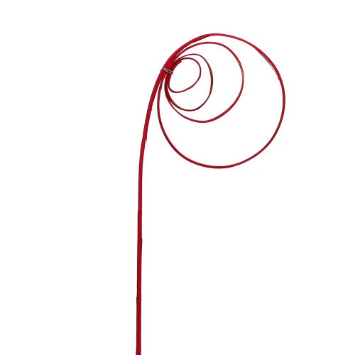 Floristik24 Cane Coil Wine Red 25 vnt