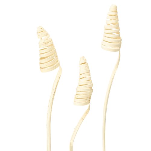 daiktų Cane Cone balintas 25 vnt