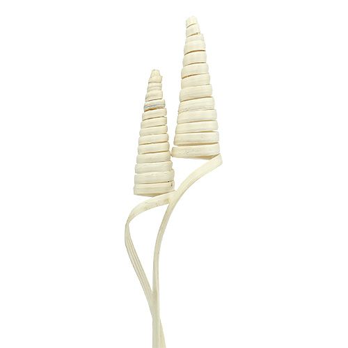 Floristik24 Cane Cone balintas 25 vnt