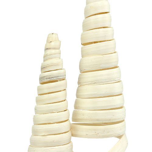 Floristik24 Cane Cone balintas 25 vnt