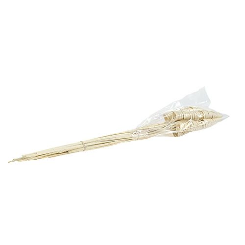 Floristik24 Cane Cone balintas 25 vnt