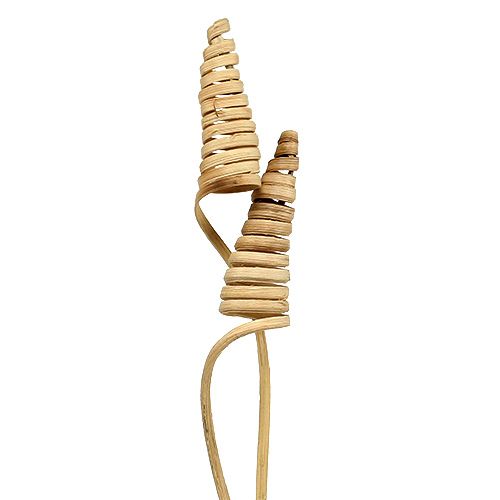 Floristik24 Cane Cone natural 25 vnt