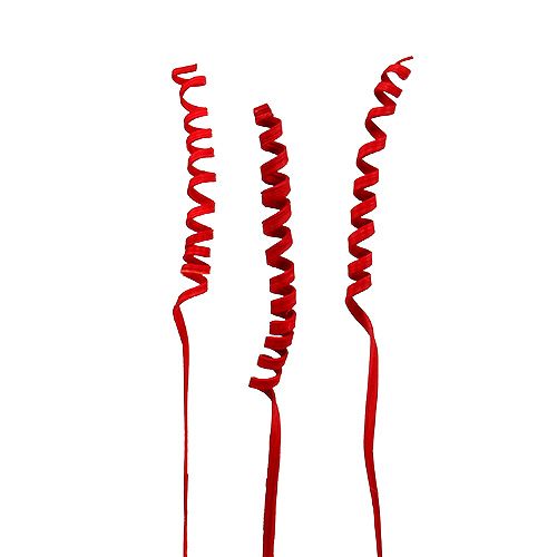 Floristik24 Cane Spring mini raudona 25 vnt