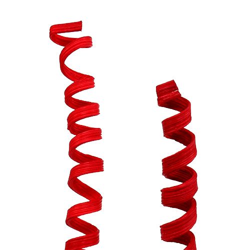 Floristik24 Cane Spring mini raudona 25 vnt