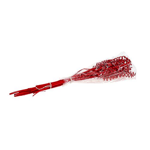 Floristik24 Cane Spring mini raudona 25 vnt