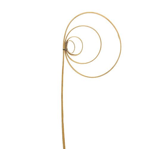 Floristik24 Cane Coil Natural 25 vnt.