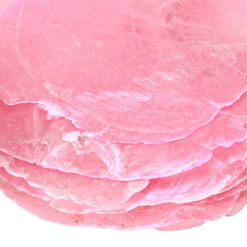 daiktų Capiz lukšto puošmena rožine uoga 5cm–8cm mišrainė 60 vnt
