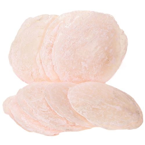 Floristik24 Capiz kriauklės perlamutriniai diskai deko kriauklės šviesiai rožinės spalvos Ø8cm