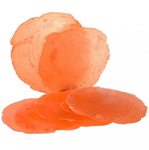 Capiz lukštai Capiz griežinėliai perlamutro griežinėliai apelsinų 7,5–9,5 cm 300 g
