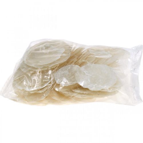 daiktų Jūrinės, Kapizo kriauklės 5–10 cm, perlamutras, natūralus gaminys 1 kg
