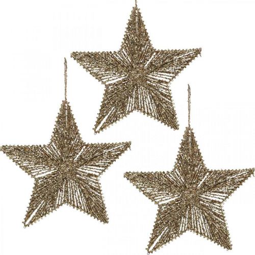 Kalėdų eglutės papuošimai, Advento papuošimai, žvaigždžių pakabukas Golden B20.5cm 6vnt