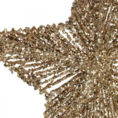 daiktų Kalėdų eglutės papuošimai, Advento papuošimai, žvaigždžių pakabukas Golden B25,5cm 4vnt