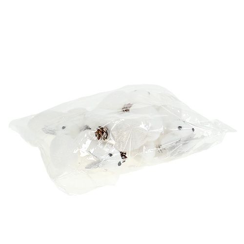 Floristik24 Eglutės papuošimai voverė balta 7cm 6vnt