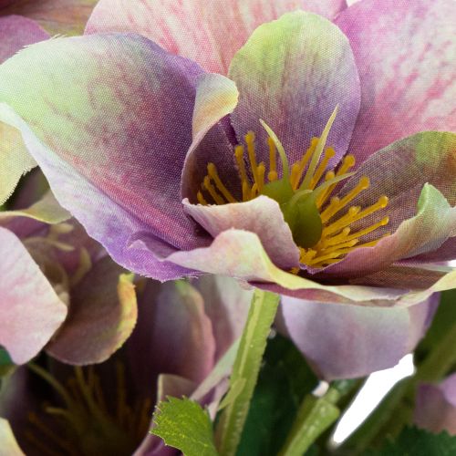 Dirbtinių kalėdinių rožių puokštė su violetiniais žiedais, 35 cm, 6 vnt. | Floristik24.lt
