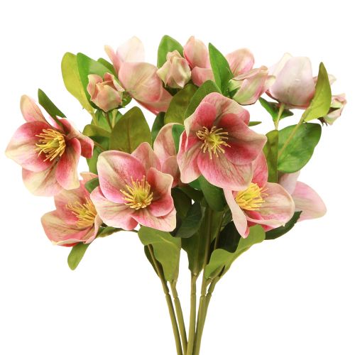 daiktų Elegantiška rožinių kalėdinių rožių puokštė – 35 cm 6 vnt.