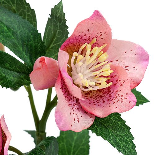 Floristik24 Kalėdinė rožė rožinė L22cm 1vnt
