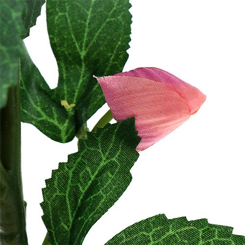 Floristik24 Kalėdinė rožė rožinė L22cm 1vnt