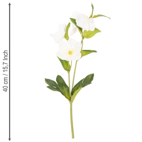 Kalėdinė rožė, dirbtinė gėlė, balta, dekoratyvinė dirbtinių gėlių puokštė, 40 cm, 4 vnt. | Floristik24.lt