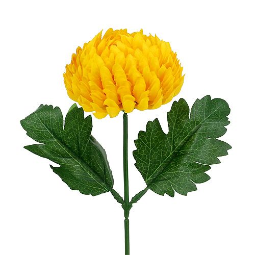 Floristik24 Chrizantemos geltonos šilko gėlės Ø7cm I18cm 4vnt.