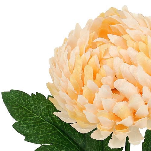 Floristik24 Dirbtinė chrizantema persikas Ø7cm L18cm