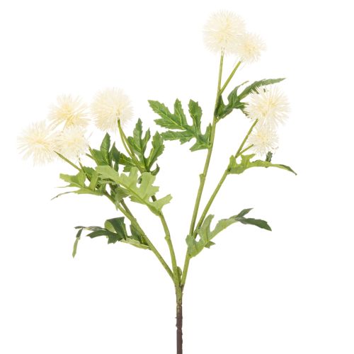 Dirbtinė chrizantema, kreminės baltos spalvos puokštė, dekoratyvinė šakelė, didelė 56 cm, 4 vnt. | Floristik24.lt