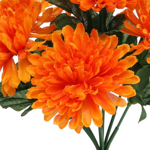 Floristik24 Chrizantema oranžinė su 7 žiedais