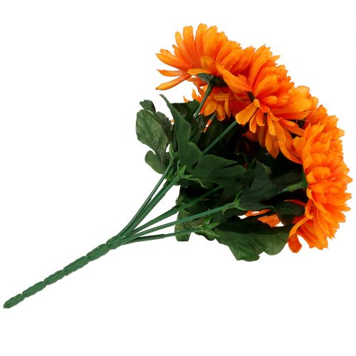 Floristik24 Chrizantema oranžinė su 7 žiedais