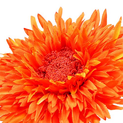 Floristik24 Chrizantema Teddy 63cm Oranžinė
