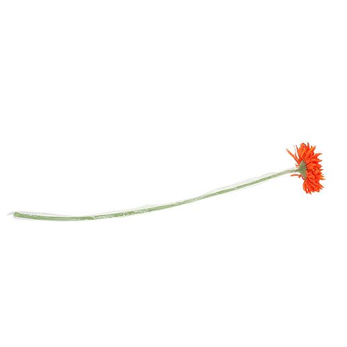 Floristik24 Chrizantema Teddy 63cm Oranžinė