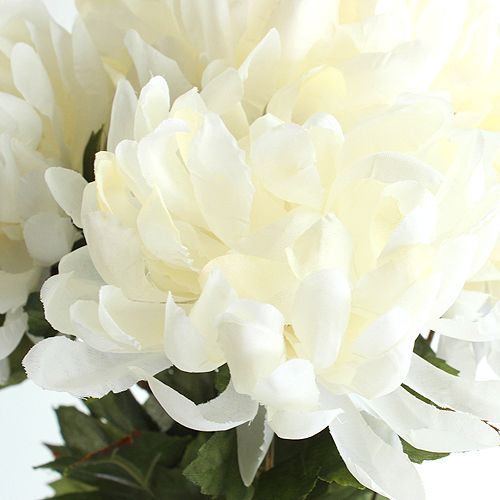 Floristik24 Chrizantemų krūmų kremas 47cm 2vnt