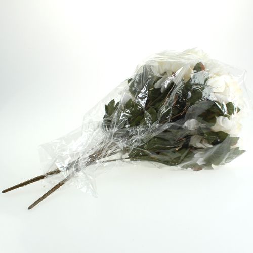 Floristik24 Chrizantemų krūmų kremas 47cm 2vnt