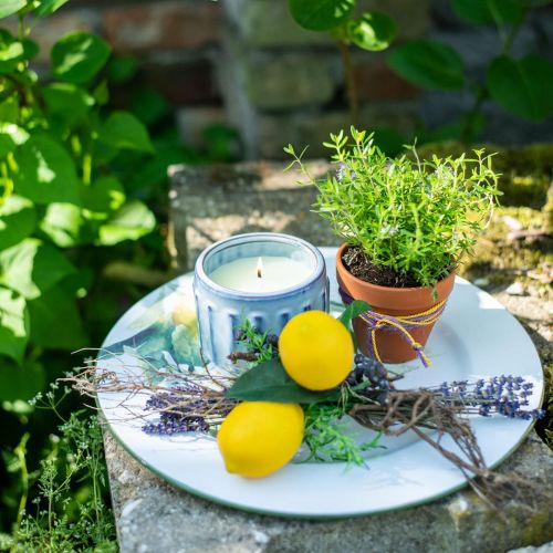 Floristik24 Citronella žvakė puode Kvapi žvakė citrina Ø10,5cm H8cm