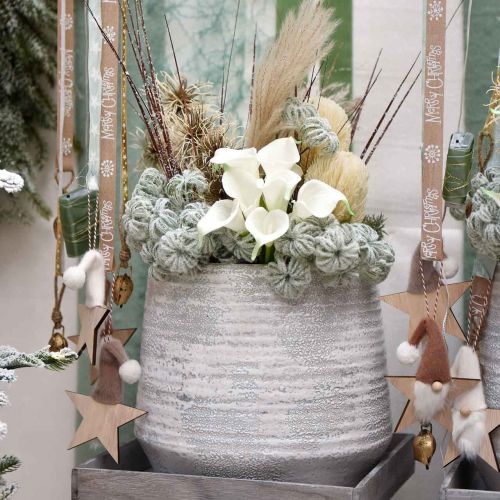 daiktų Clematis green su sniegu 43cm 3 vnt