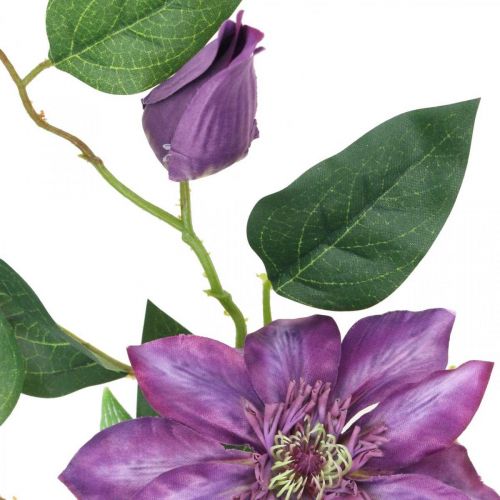 Floristik24 Dirbtinis klematis, šilkinė gėlė, dekoratyvinė šakelė su klemačio žiedais violetinė L84cm