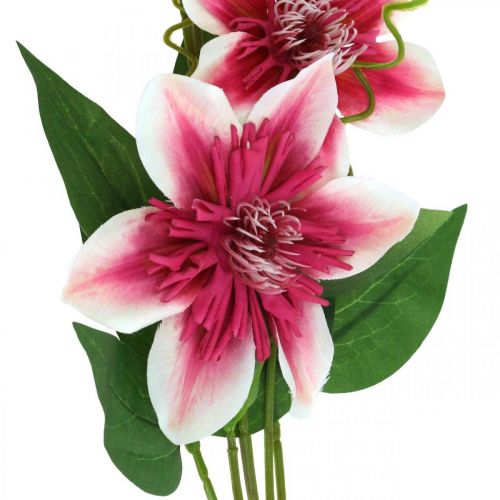 daiktų Clematis šakelė su 5 žiedais, dirbtinė gėlė, dekoratyvinė šakelė rožinė, balta L84cm