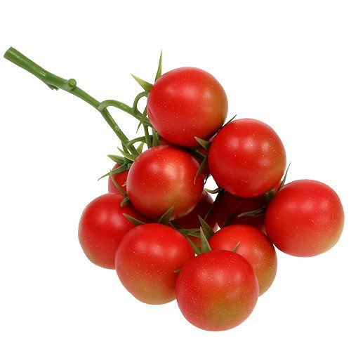 Floristik24 Kokteiliniai pomidorai raudoni 21cm
