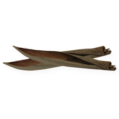 Floristik24 Natūralios kokoso kevalai 60cm 5 vnt
