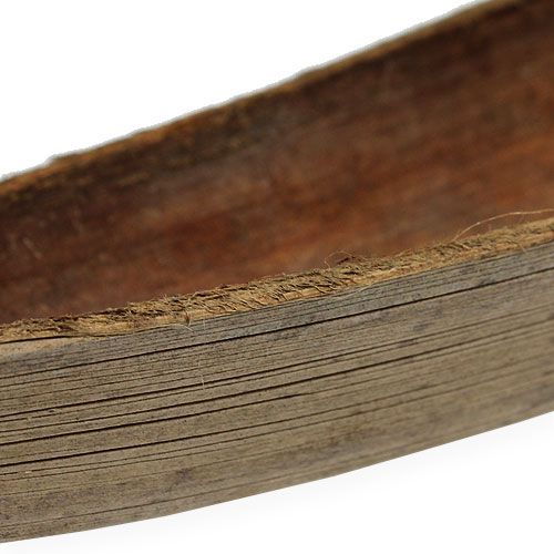 daiktų Natūralios kokoso kevalai 60cm 5 vnt