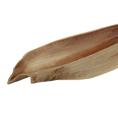 Floristik24 Kokoso dubuo palmės lapas 60-80cm prigimties
