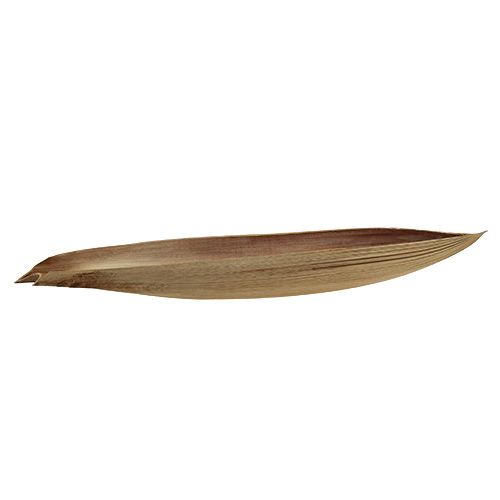 Floristik24 Kokoso dubuo palmės lapas 60-80cm prigimties