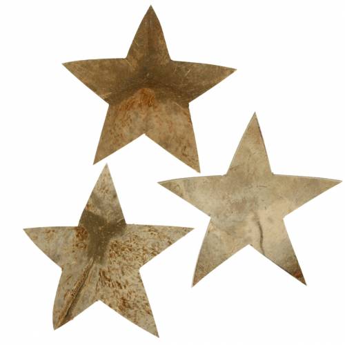 Floristik24 Kokoso žvaigždė natūrali 10cm 20vnt Kalėdų puošmena sidabrinės medinės žvaigždės