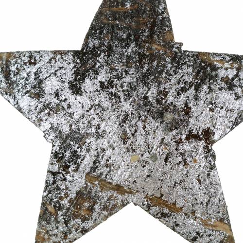 Floristik24 Kokoso žvaigždė sidabrinė 5cm 50vnt stalo puošmena sidabrinė Advento puošmenos žvaigždės