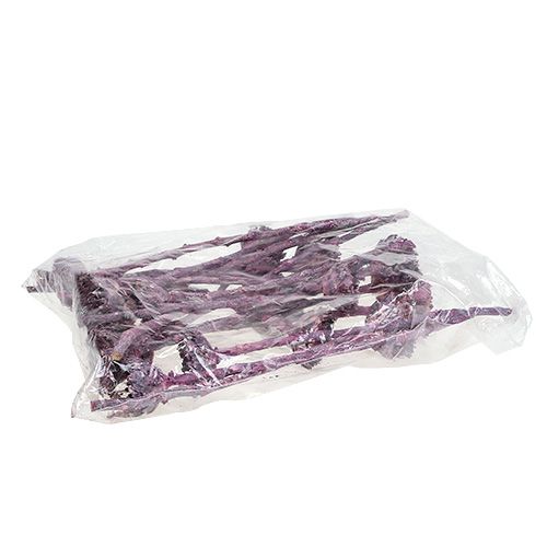 daiktų Compacta Rosette Frosted Blackberry 20 vnt