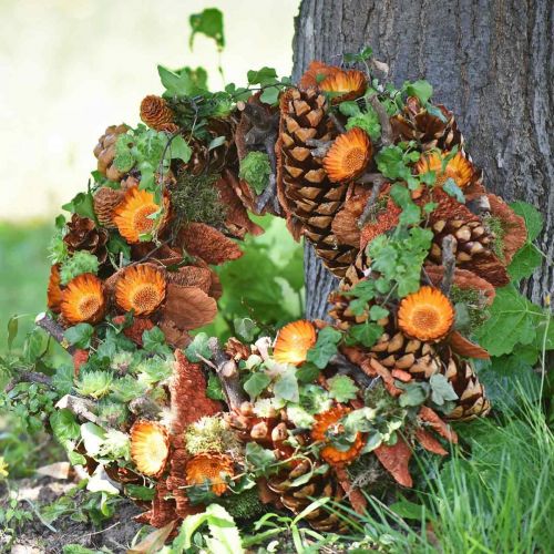 daiktų Compacta Rosette 100 vnt