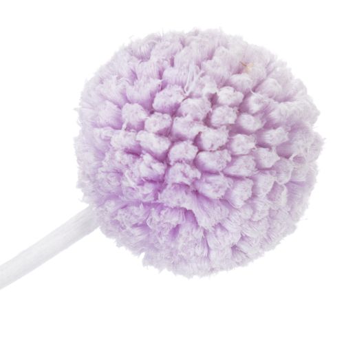 daiktų Džiovintos Craspedia gėlės moderniam stalo papuošimui jūsų namuose, 55 cm, 20 vnt.