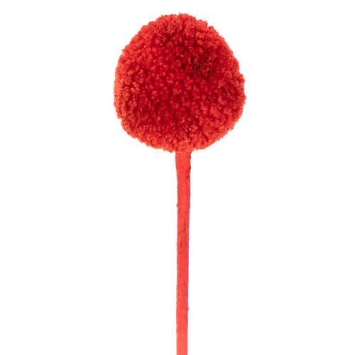 Džiovintos Craspedia gėlės, dažytos, ilgais stiebais, 55 cm, 20 vnt. | Floristik24.lt