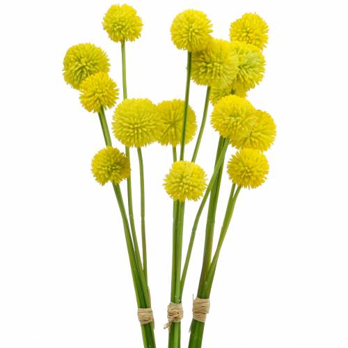 Floristik24 Būgno lazdelės Craspedia Yellow Dirbtinė sodo gėlė Šilkinės gėlės 15vnt